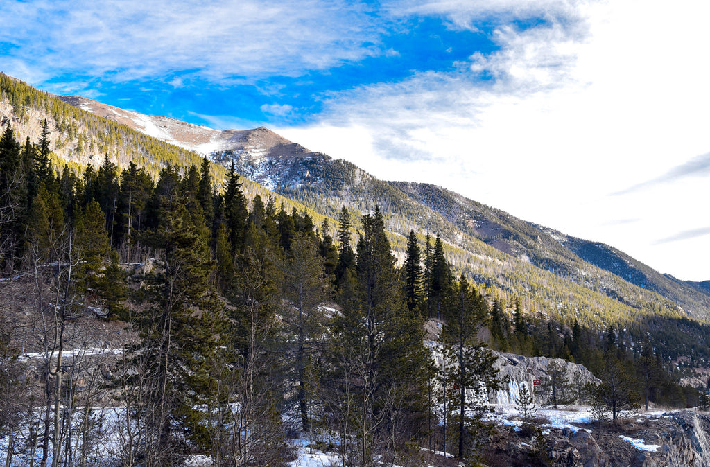 Early Season Colorado