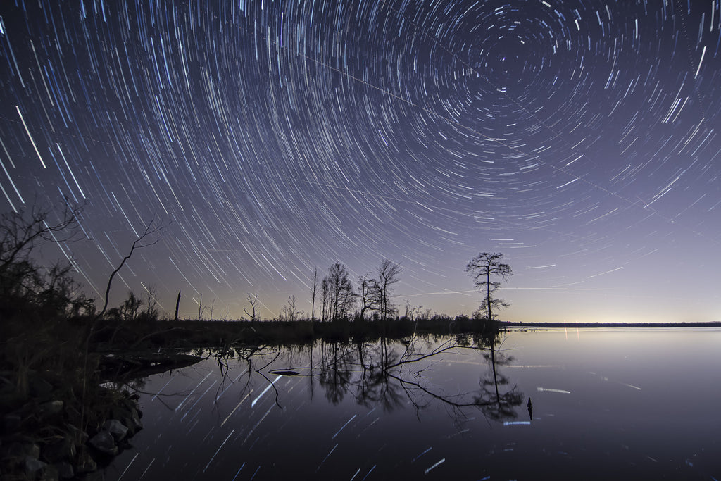 The Explorer Series - "Swamp Research"